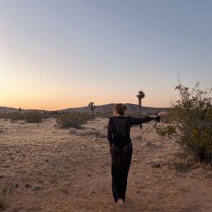 Rat & Boa Black Sheer Dress